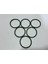 Sulzer RTA62U Dizel Makine Conta 80X76X3,8MM (6 Adet) 2