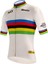 Koleksiyonluk Santini Limited Edition Ucı Road World Championships Centenary Gold Bisiklet Forması RE94075CGOLD 2