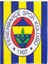 Fenerbahçe Baskılı 16LI Kağıt Peçete 1
