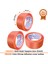Turuncu Hotmelt Yapışkanlı Koli Bandı 45X100 - Güçlü, Dayanıklı ve Hızlı Yapışan Ambalaj Bandı 2