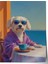 Çerçevesiz Poster, Sahilde Gözlüklü Köpek, Genç Odası Dekoru Poster No: 109692 1