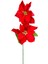 Yılbaşı Çiçeği Puansetya 2 Çiçekli Kırmızı 75 Cm. 1