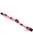 Yavru Kedi Boyun Tasması, Zilli, Pembe, 16-32CM Lzwdr 3
