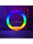 LJJ18 Rgb Light 45CM Işıklı Telefon Tutucu Ring Light 2