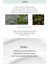 A'pıeu Yağlanma ve Akneye Eğilimli Ciltler Için Nemlendirici A'pıeu The Pure Tea Tree Moisture Cream 3