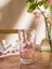 Lc Waıkıkı Fiyonk Baskılı Cam Bardak 500 ml (W5) 3
