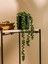 Lcw Home Dekoratif Yapay Çiçek 38 cm (W5) 1