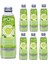 6'lı Blend Misket Limonu Maden Suyu 250 ml 1