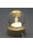 3D Kristal Cam Küre Ahşap Soketli Istanbul Temalı LED Lamba AALK2575 1