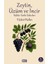 Zeytin, Üzüm ve Incir 1