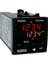 DS204-24V ,48X48MM 24VAC/DC KONTAK-1A1K 4-Hane Sayıcı 1