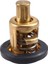 6F5-12411 Termostat 60° Yamaha Dıştan Takma Motor 2 Zamanlı 9.9-55HP 6F5-12411-00 6F5-12411-01 6F5-12411-02 6F5-12411-03 (Yurt Dışından) 1