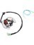 Yamaha Blaster 200 YFS200 Yfs 200 1988-2002 Için Yeni Atv Magneto Motor Jeneratör Stator Bobini 3JM-85560-00 2XJ-85560-M0 (Yurt Dışından) 1