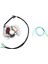 Yamaha Blaster 200 YFS200 Yfs 200 1988-2002 Için Yeni Atv Magneto Motor Jeneratör Stator Bobini 3JM-85560-00 2XJ-85560-M0 (Yurt Dışından) 2