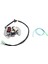 Yamaha Blaster 200 YFS200 Yfs 200 1988-2002 Için Yeni Atv Magneto Motor Jeneratör Stator Bobini 3JM-85560-00 2XJ-85560-M0 (Yurt Dışından) 3