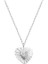 BINRONG0557 Gümüş Kalp Zirkonya Kolye (Yurt Dışından) 1