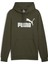 ESS Big Logo Hoodie Yeşil Unisex Sweatshirt 1