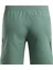 Strength Short 4.0 Orman Yesılı Erkek Şort 3