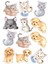 Kedi ve Köpekler Yenilebilir Cupcake ve Pasta Resim Baskı 1