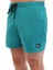EVERYDAY SOLID VOLLEY 15 PASTEL YESIL Erkek Deniz Şortu 1