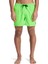 EVERYDAY SOLID VOLLEY 15 DORE Erkek Deniz Şortu 1
