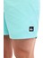 EVERYDAY SOLID VOLLEY 15 Laci Erkek Deniz Şortu 5
