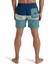 ALL DAY STRIPE LB Mavi Erkek Deniz Şortu 3