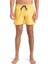 EVERYDAY SOLID VOLLEY 15 Altın Erkek Deniz Şortu 1