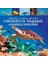 Meraklı Çocuklar Için Okyanus Yaşamı Ansiklopedisi 1