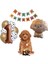 Köpekler Için Xl Parti Paketi-Doğum Günü Pastası, 1 Yaş Poodle Set 1