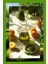 Matcha & Kayısı Sirkesi - Doğal Fermantasyon, Doğal, Katkısız, 250 ml 3