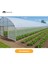 Sera Naylonu 12X16M 250 Mikron Sera, Bahçe ve Tarım Naylonu - 250 Mikron 5