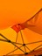 3x3 Gazebo/portatif Çardak Takım 4