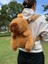 Capybara Peluş Çanta Sevimli Yumuşak Sırt Çantası 30CM 3