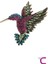 Hummingbird Tasarım Kadın Zirkon Taşlı Kuş Broş - Hediyelik Arkadaşa Sevgili Eşe Anneye Yaka Iğnesi 1