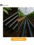 1 1/4" (32 Mm) Çap 80 Metre Termo Kauçuk Iplikli Pvc Bahçe Sulama Hortumu Esnek Dayanıklı 5