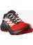 Alphaglıde Gore-Tex Erkek Koşu Ayakkabısı Flame Scarlet L47975200 4