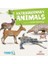 Extraordinary Animals - Intermediate - Level 3 B1 1