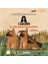 Iz Sürücü Köpekler 2 – A Takımı – Iz Sürmeyi Öğreniyor 1