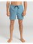 All Day Lb Mavi Erkek Deniz Şortu EBYJV00104-BN4 1