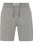 Sonic Şort Erkek Gri Günlük Şort RFSONIC22-23394 1