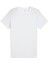 EVOSTRIPE Tee Erkek T-shirt 1