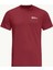 Essential T Erkek T-shirt 1808382TR 1