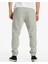 Core Arch Pant Gri Erkek Eşofman Altı 2