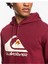 Big Logo Erkek Çocuk Sweatshirt EQYFT04450 3