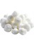 Aquael Magic Balls 1 Adet 1