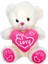 Kalpli Peluş Ayı 30 Cm. - Pembe 1