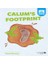 Calums Footprint 1
