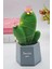 Sevimli Kaktüs LED Işıklı Dekoratif Masa Lambası, Şık ve Renkli Aydınlatma 4