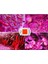 Grow Cob LED 220V 50W Full Spectrum Bitki Yetiştirme Ledi 4